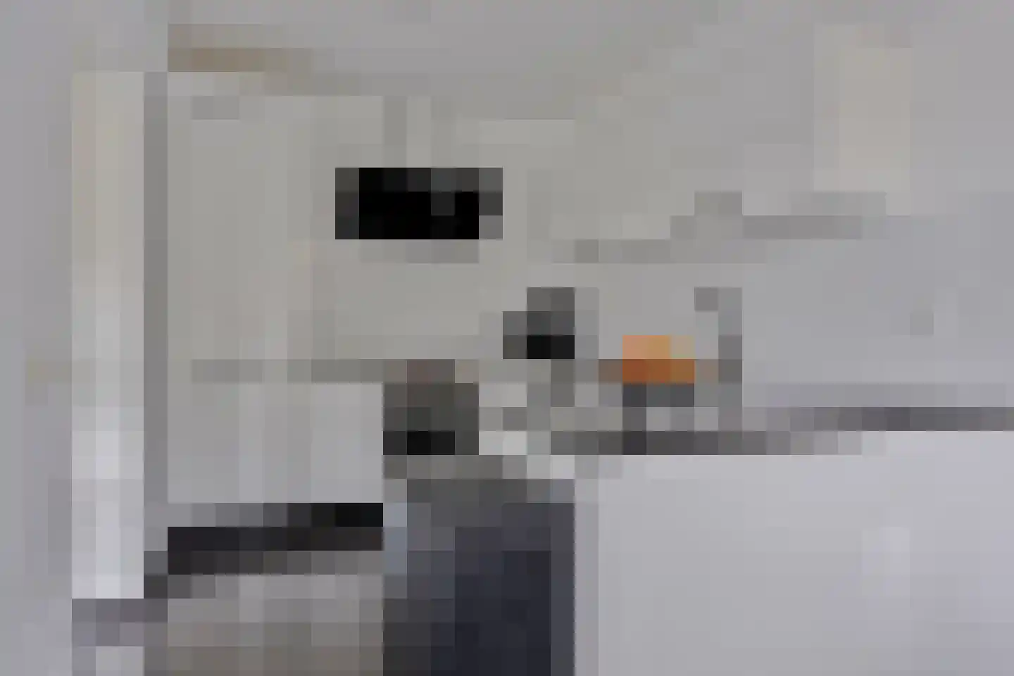 Montferland 8 Emmeloord thumbnail 10