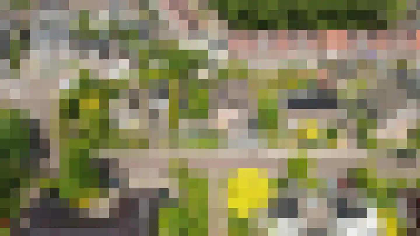 Montferland 8 Emmeloord thumbnail 39