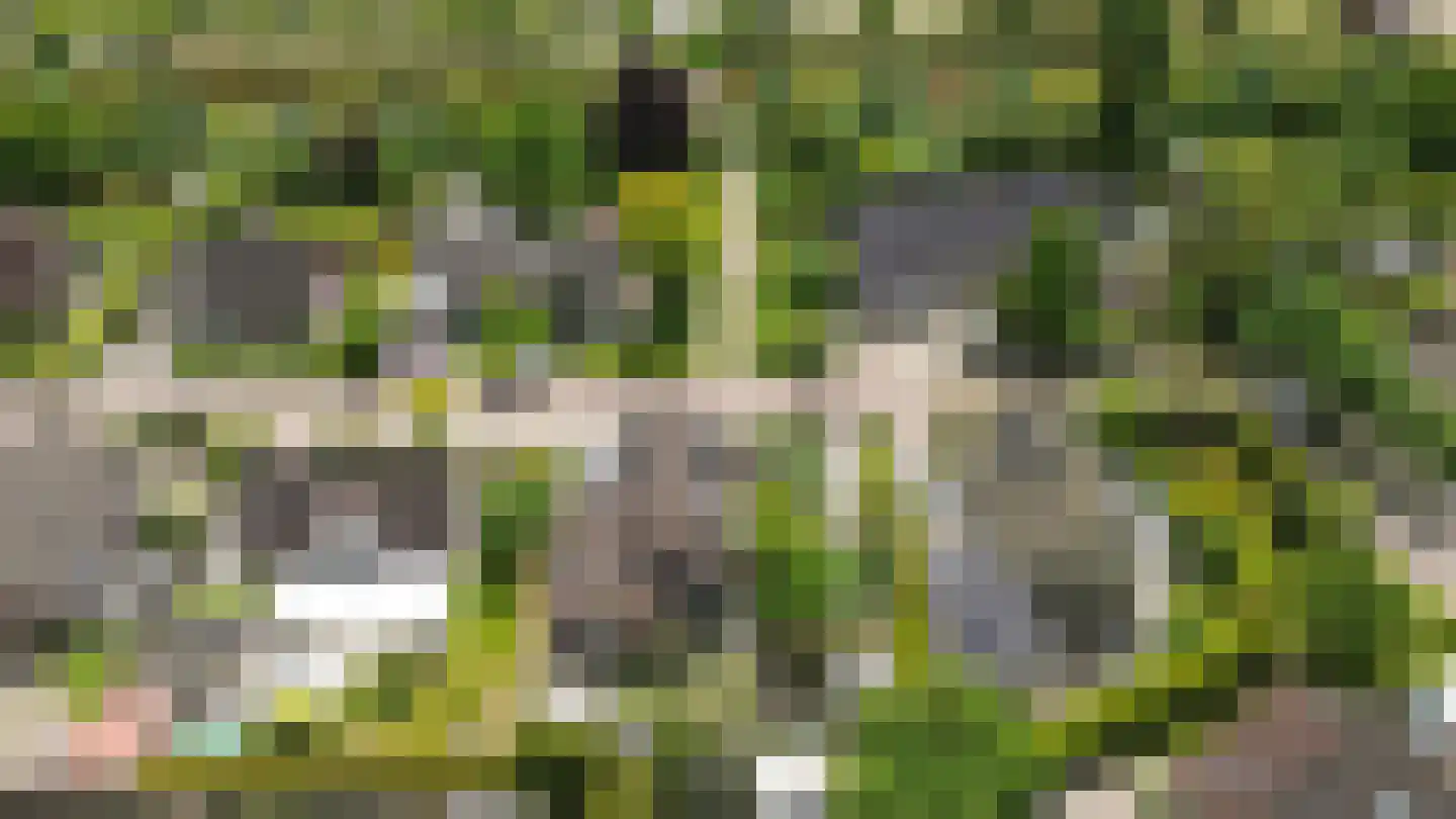 Montferland 8 Emmeloord thumbnail 41