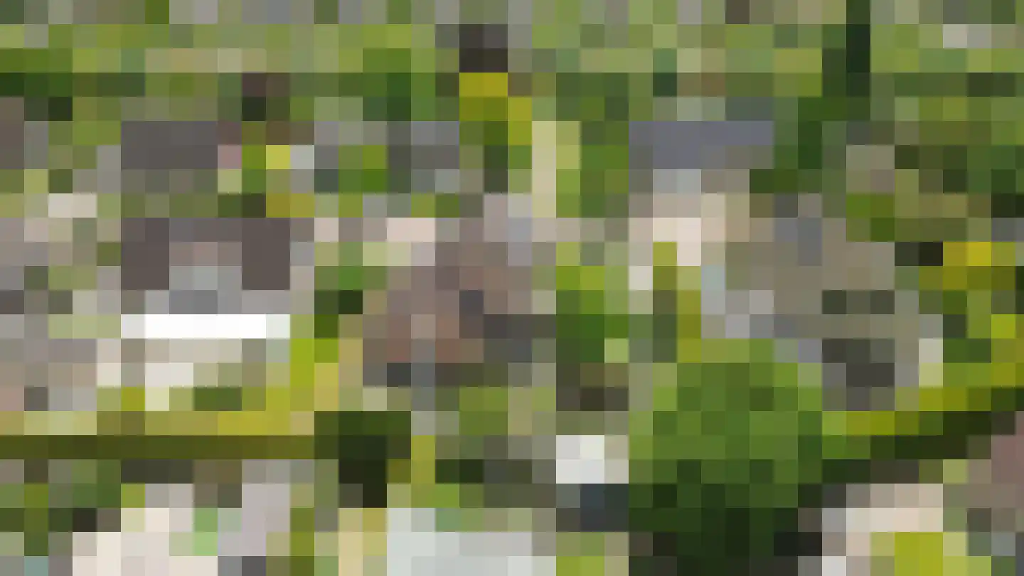 Montferland 8 Emmeloord thumbnail 42