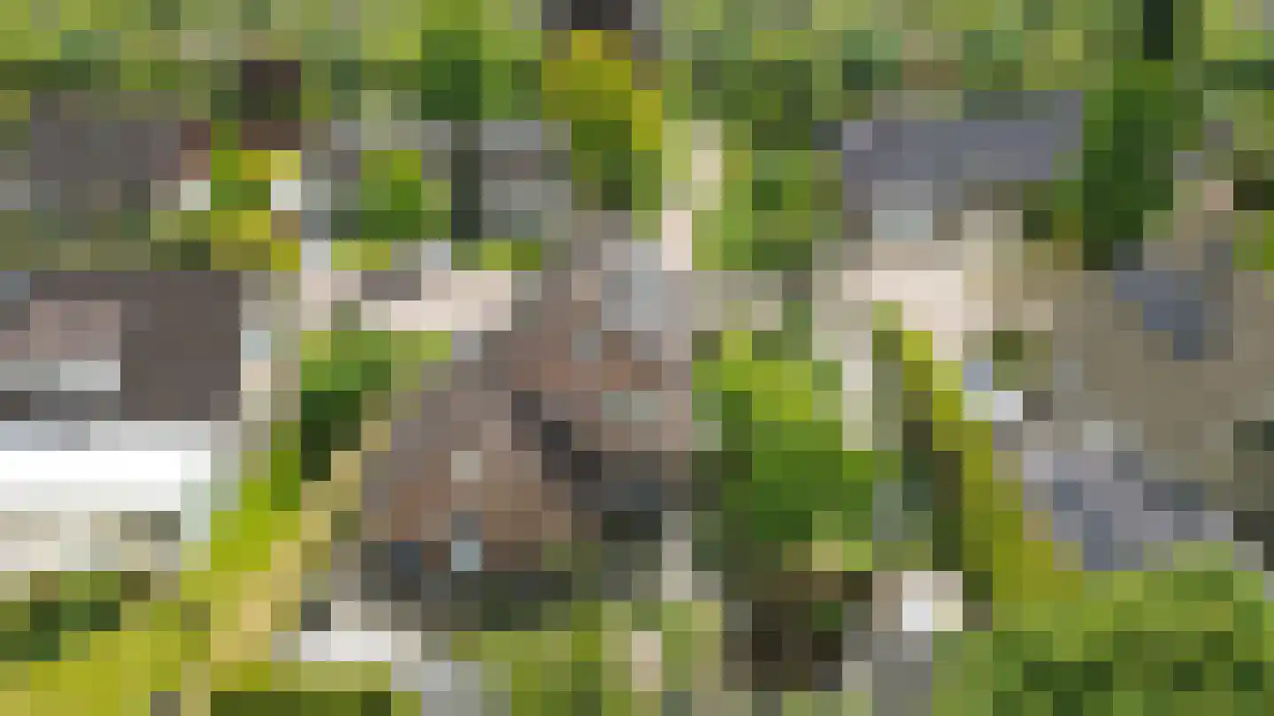 Montferland 8 Emmeloord thumbnail 43