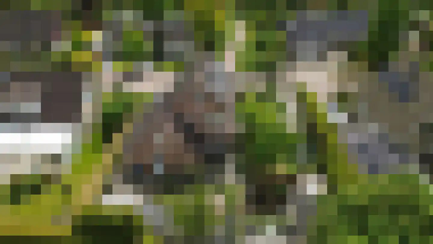 Montferland 8 Emmeloord thumbnail 44