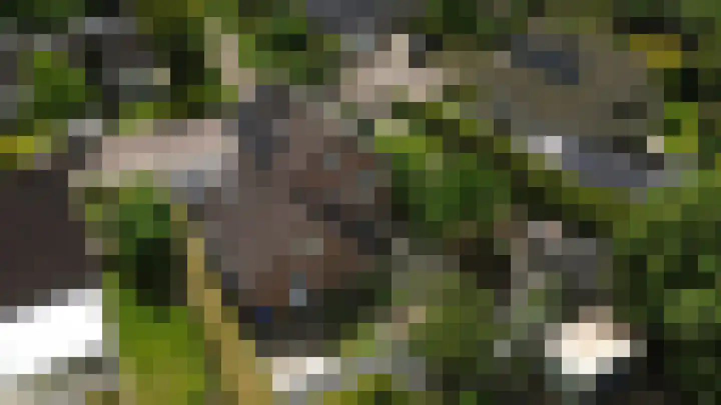 Montferland 8 Emmeloord thumbnail 48