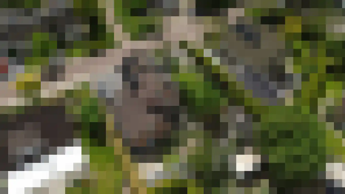 Montferland 8 Emmeloord thumbnail 51