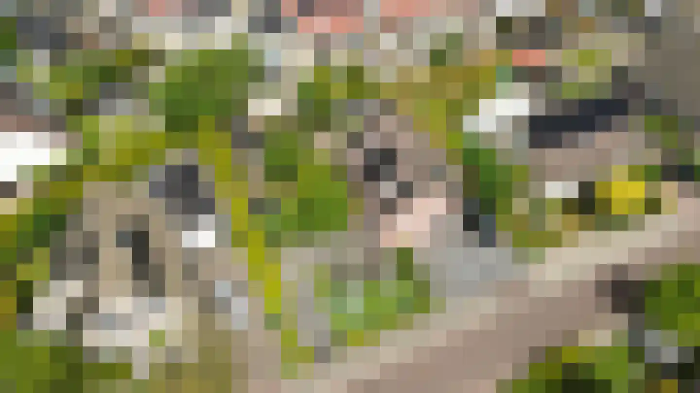 Montferland 8 Emmeloord thumbnail 52