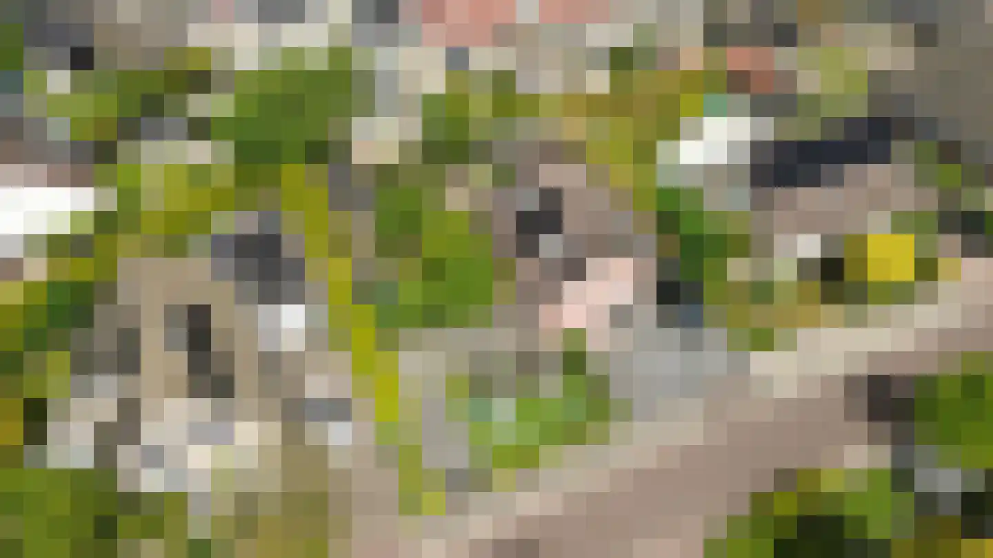 Montferland 8 Emmeloord thumbnail 53