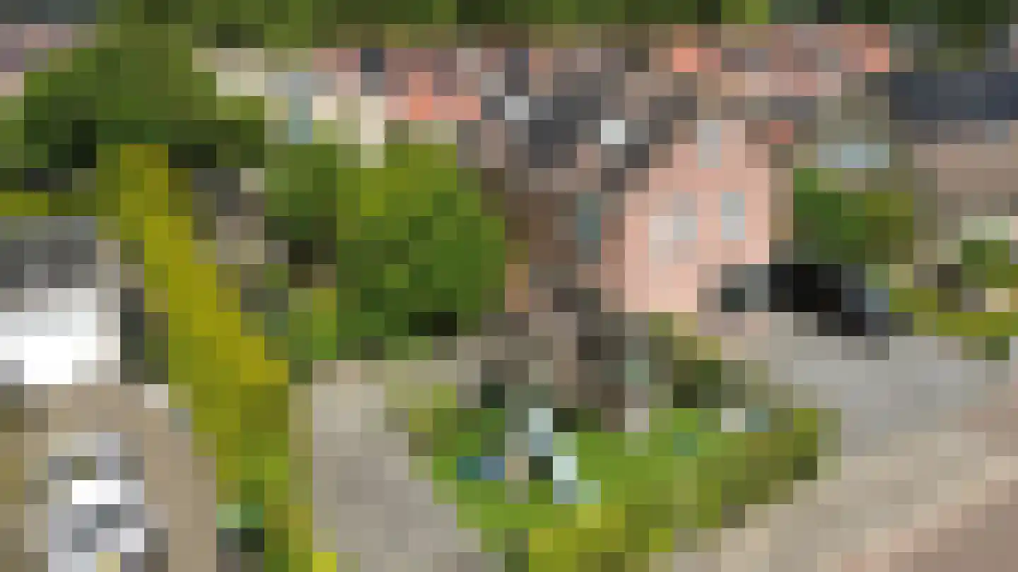 Montferland 8 Emmeloord thumbnail 54