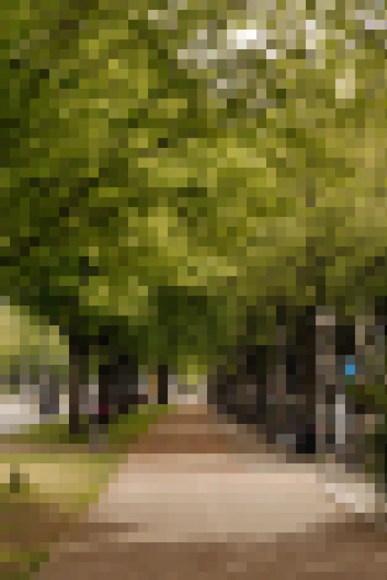 Montferlandstraat 8 1 Amsterdam thumbnail 27