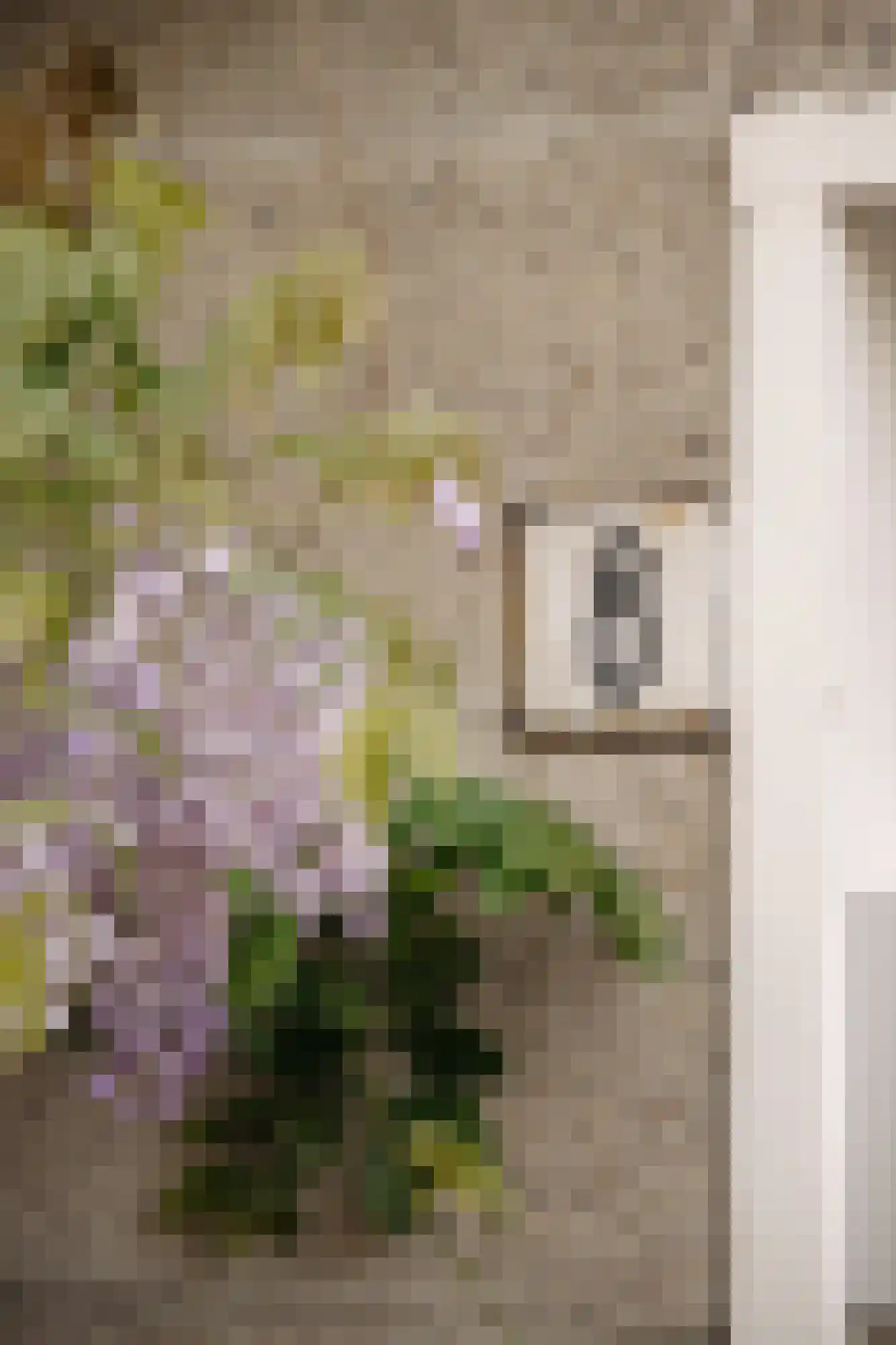 Montferlandstraat 8 1 Amsterdam thumbnail 8