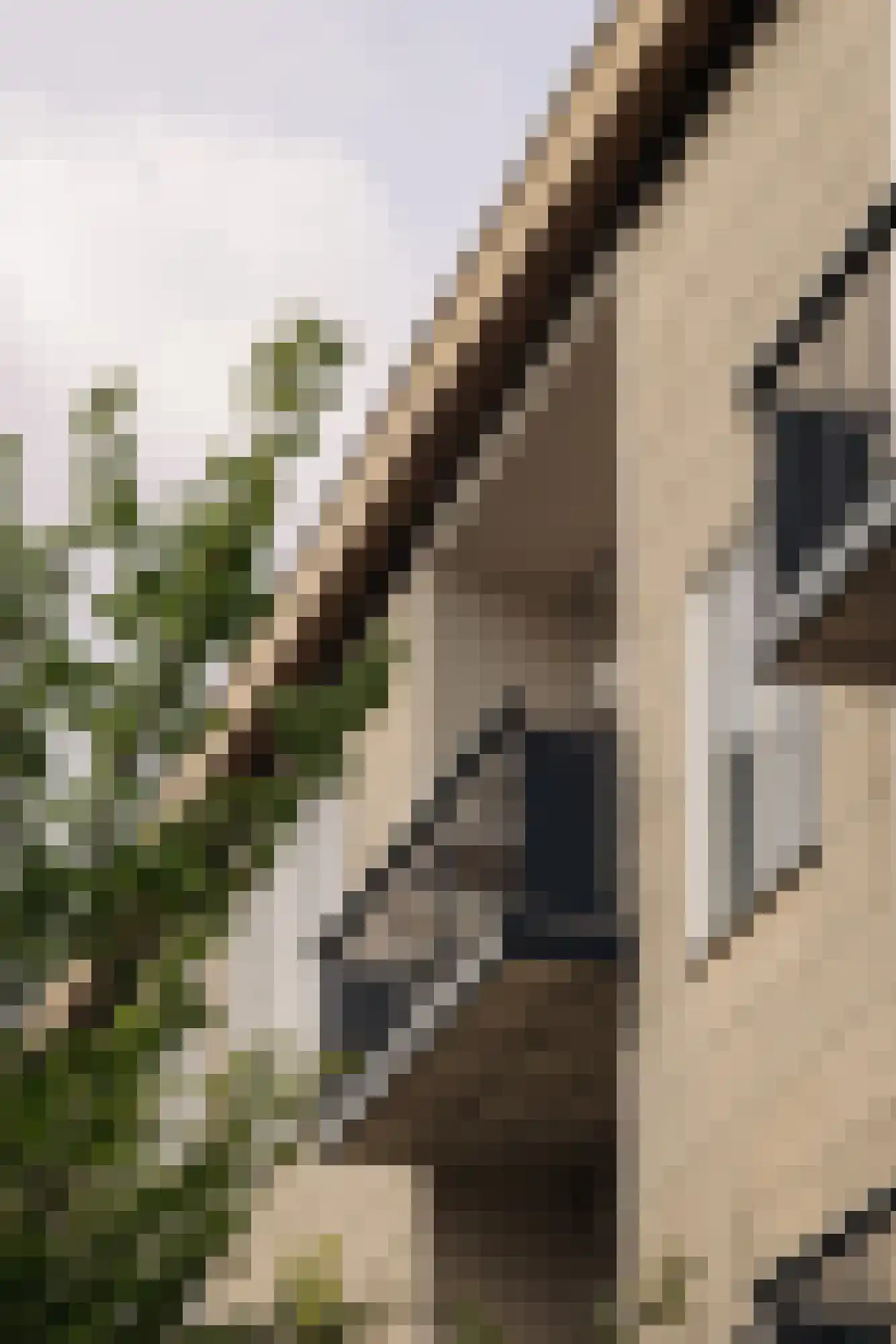 Montferlandstraat 8 1 Amsterdam thumbnail 9