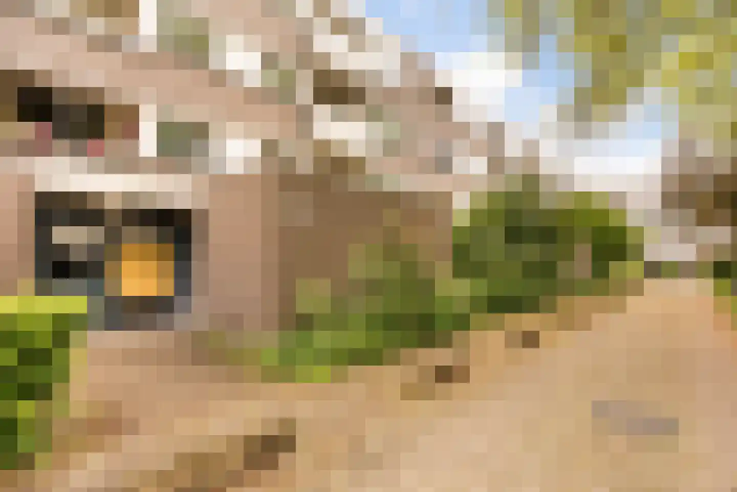 Montfoorthof 120 Amsterdam thumbnail 21