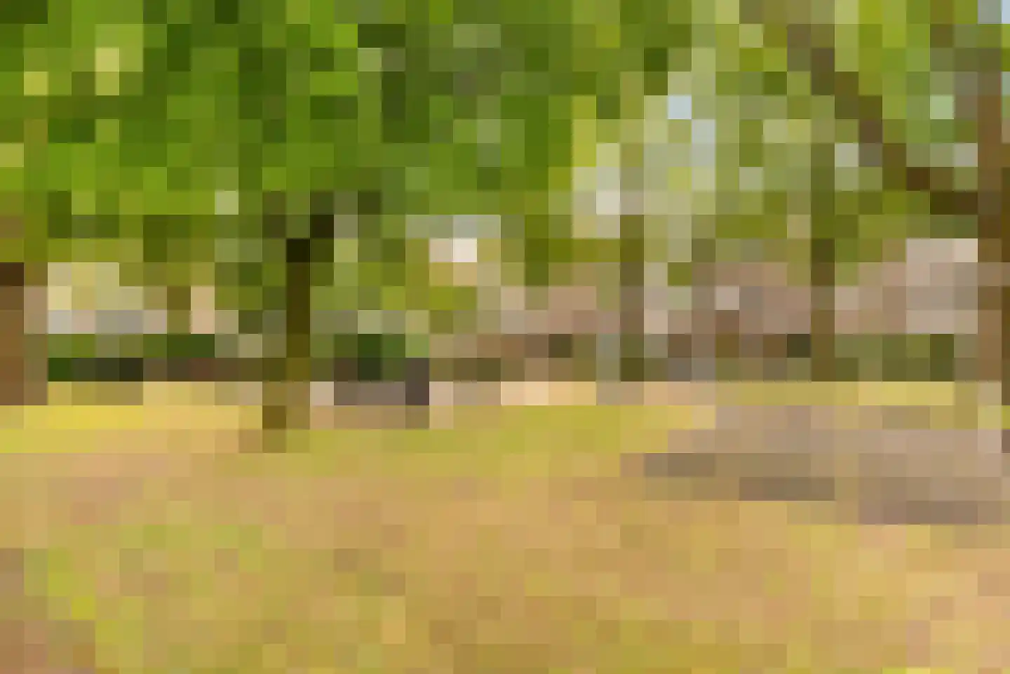 Montfoorthof 120 Amsterdam thumbnail 22