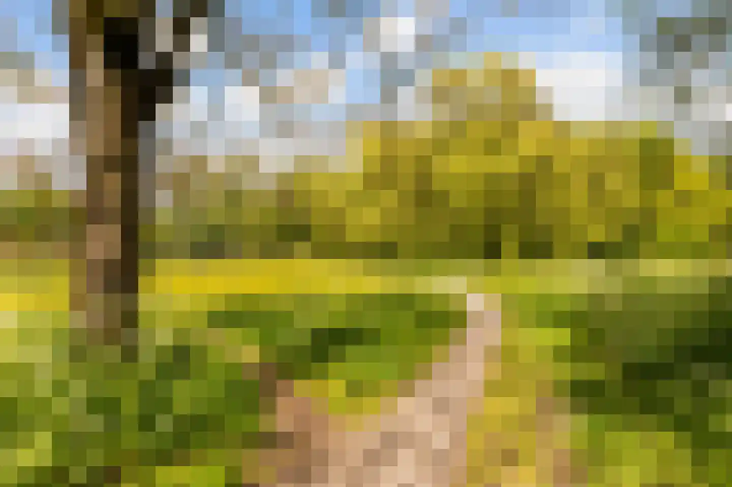 Montfoorthof 120 Amsterdam thumbnail 23