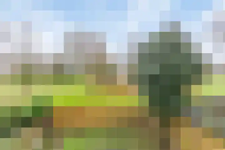 Montfoorthof 138 Amsterdam thumbnail 28