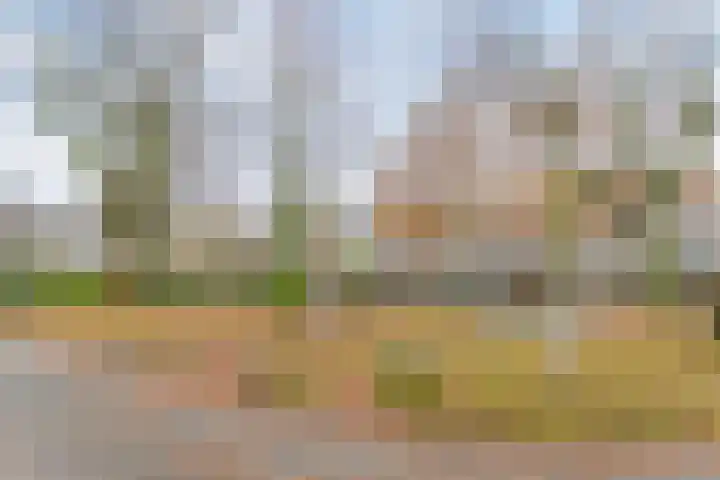 Montfoorthof 138 Amsterdam thumbnail 29