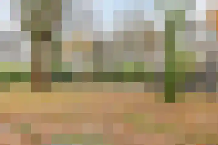 Montfoorthof 138 Amsterdam thumbnail 31