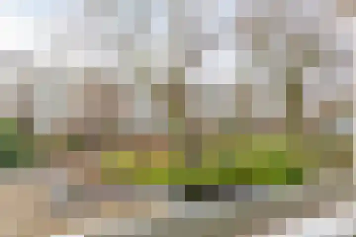 Montfoorthof 138 Amsterdam thumbnail 32