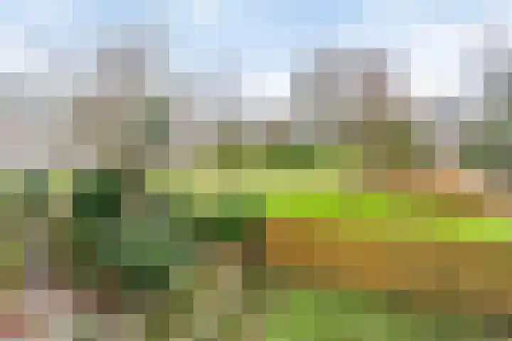 Montfoorthof 138 Amsterdam thumbnail 33