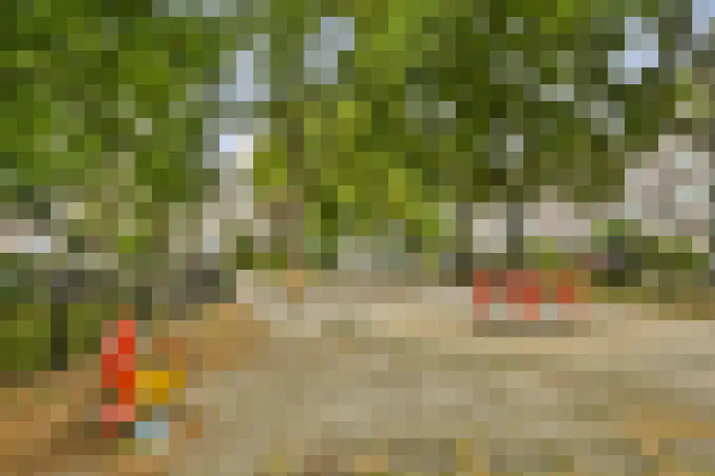 Montfoorthof 149 Amsterdam thumbnail 21
