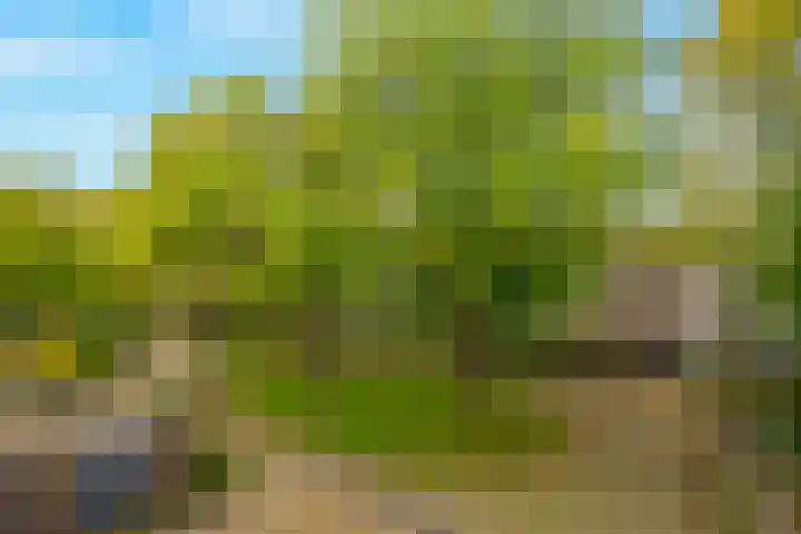 Montfoorthof 155 Amsterdam thumbnail 20