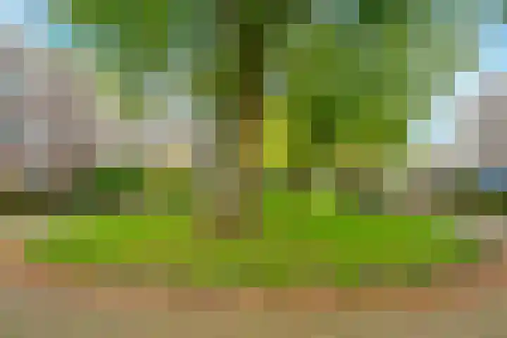 Montfoorthof 155 Amsterdam thumbnail 23