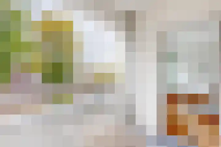 Montfoorthof 155 Amsterdam thumbnail 8