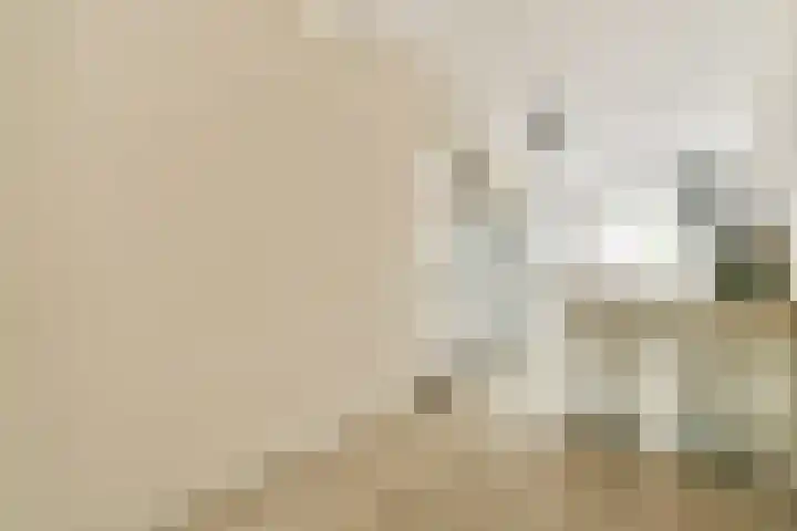 Montfoorthof 38 Amsterdam thumbnail 11
