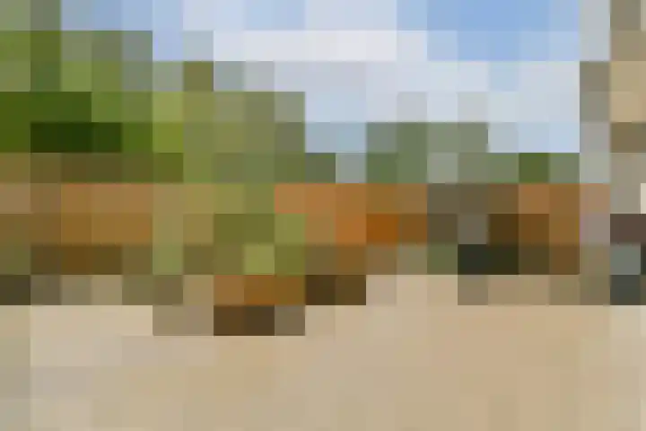 Montfoorthof 38 Amsterdam thumbnail 14