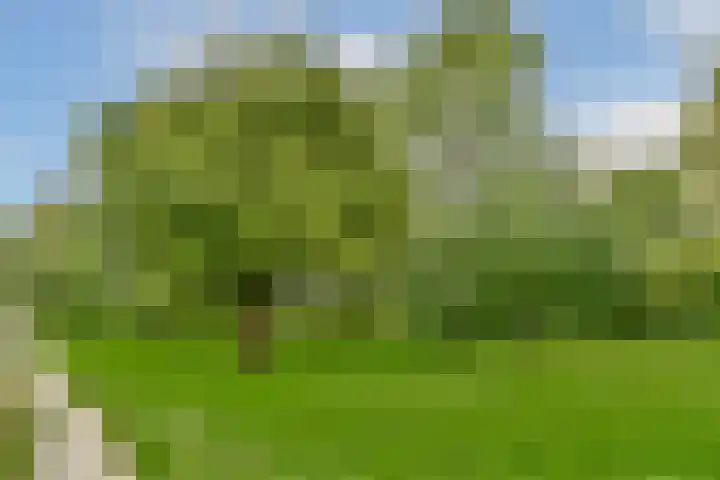 Montfoorthof 38 Amsterdam thumbnail 19