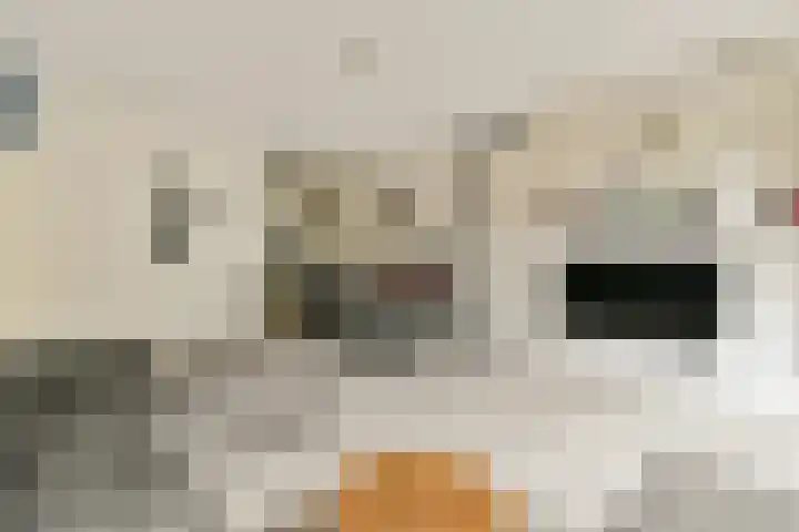 Montfoorthof 38 Amsterdam thumbnail 8