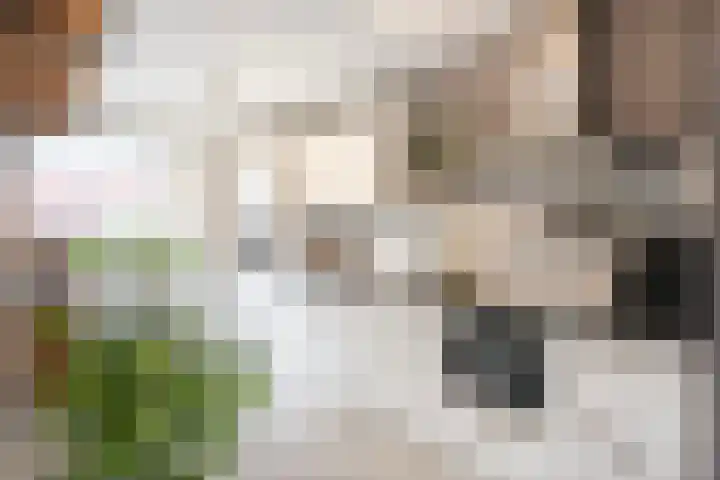 Montfoortlaan 56 Utrecht thumbnail 14