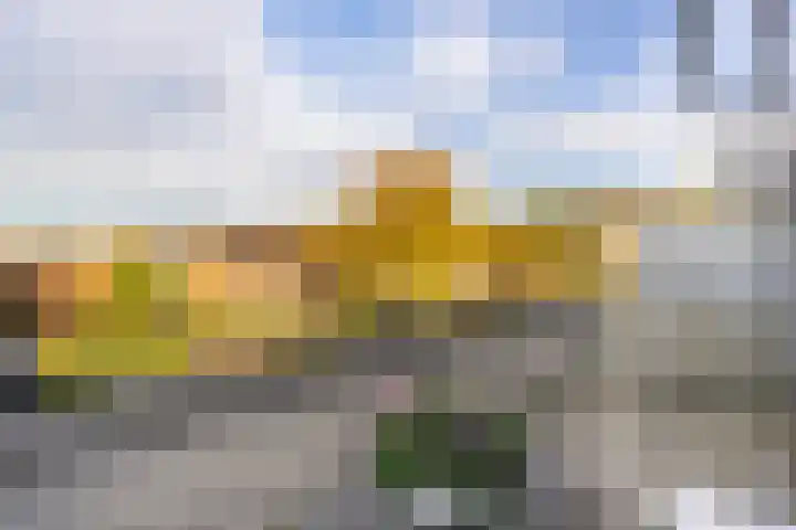 Montfoortlaan 56 Utrecht thumbnail 25