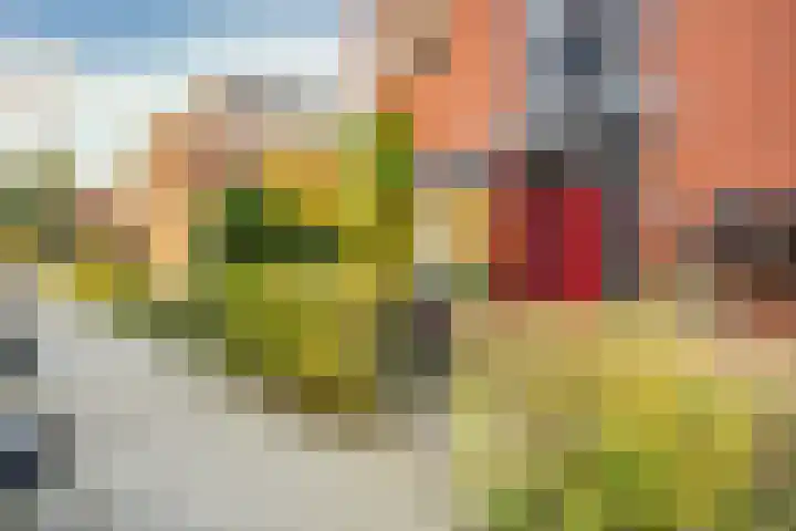 Montfoortlaan 56 Utrecht thumbnail 28