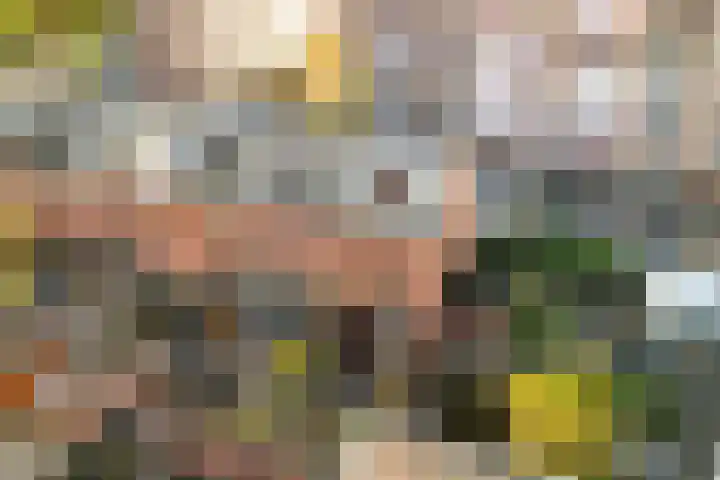 Montfoortlaan 56 Utrecht thumbnail 31