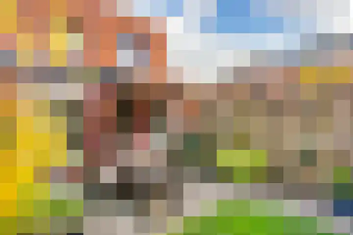 Montfoortlaan 56 Utrecht thumbnail 9