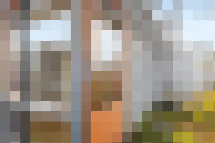 Montfoortlaan 6 A Utrecht thumbnail 29