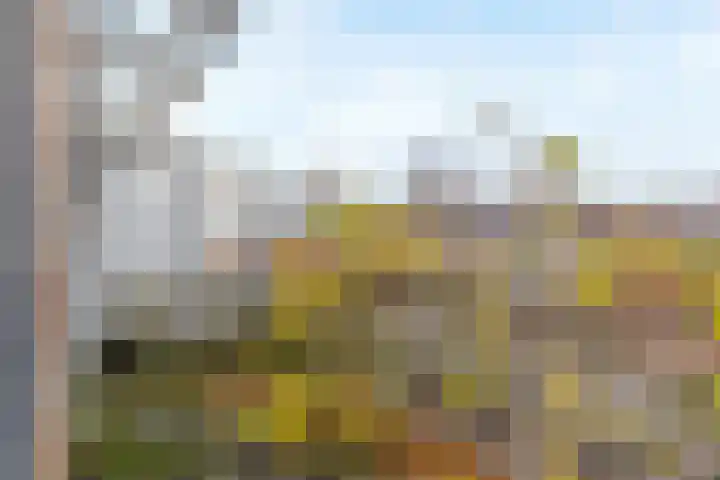 Montfoortlaan 6 A Utrecht thumbnail 30