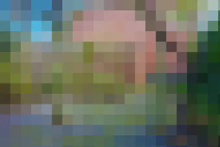 Montfoortlaan 6 A Utrecht thumbnail 32