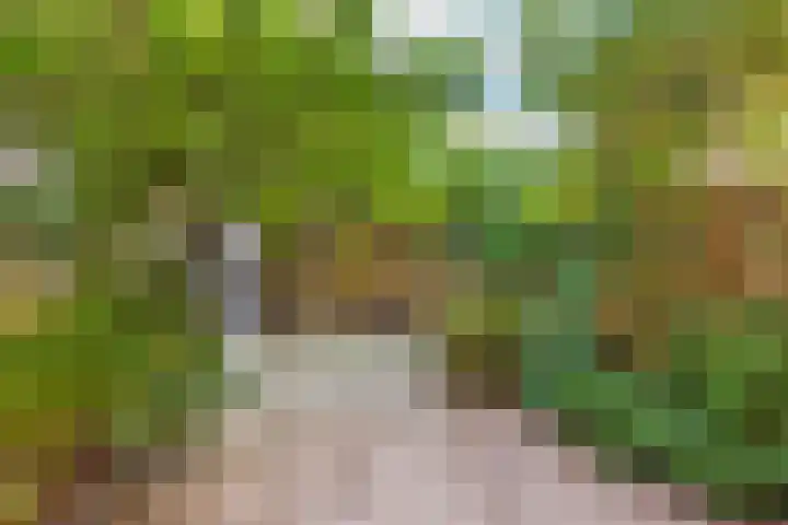 Montfoortlaan 8 Utrecht thumbnail 29
