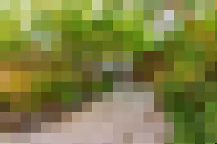 Montfoortlaan 8 Utrecht thumbnail 30