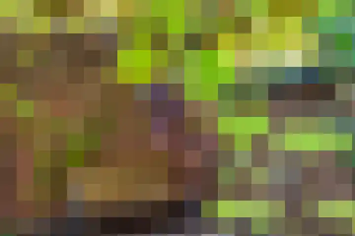 Montfoortlaan 8 Utrecht thumbnail 31