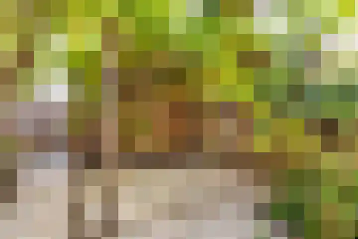 Montfoortlaan 8 Utrecht thumbnail 32