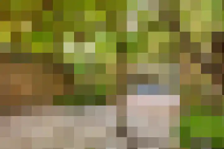 Montfoortlaan 8 Utrecht thumbnail 34