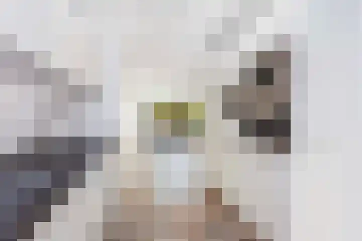 Montfoortlaan 8 Utrecht thumbnail 5