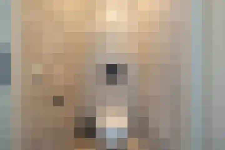 Montfort 12 Almelo thumbnail 14