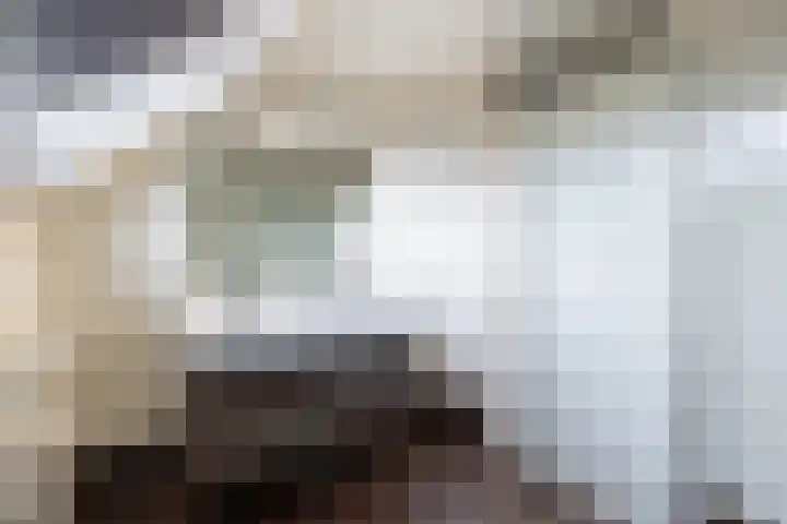 Montfort 12 Almelo thumbnail 17