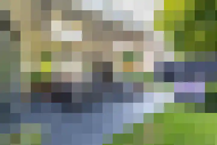 Montfort 12 Almelo thumbnail 24