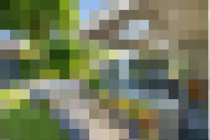 Montfort 12 Almelo thumbnail 25