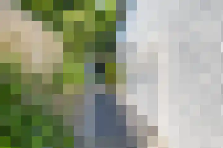 Montfort 12 Almelo thumbnail 27