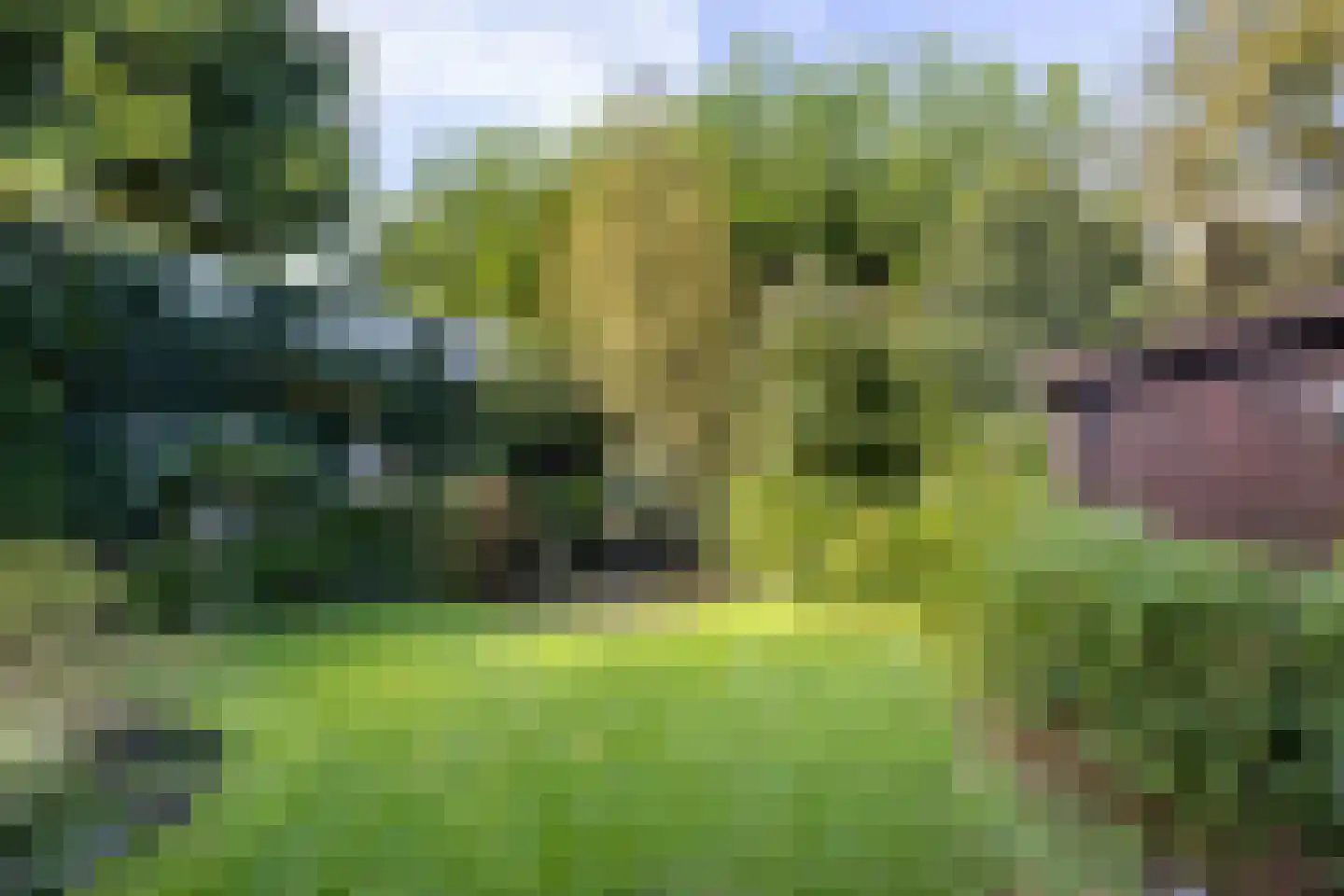 Montfort 14 Almelo thumbnail 28